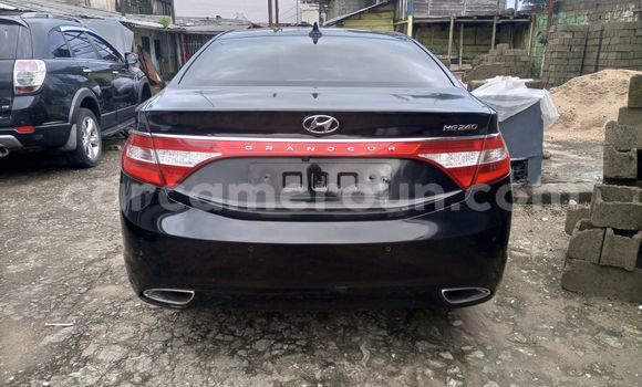 Buy Used Hyundai Grandeur Black Car in Douala in Littoral Cameroon Buy Used Hyundai Grandeur Black Car in Douala in Littoral Cameroon