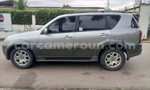 Buy Used SsangYong Rexton Silver Car in Douala in Littoral Cameroon Buy Used SsangYong Rexton Silver Car in Douala in Littoral Cameroon