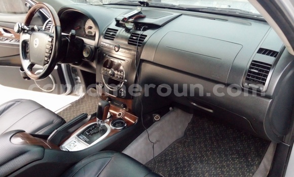 Buy Used SsangYong Rexton Silver Car in Douala in Littoral Cameroon Buy Used SsangYong Rexton Silver Car in Douala in Littoral Cameroon
