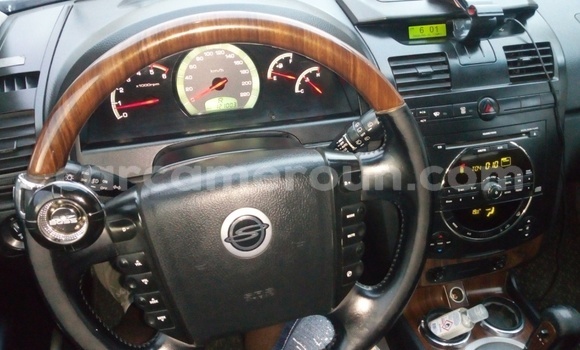 Buy Used SsangYong Rexton Silver Car in Douala in Littoral Cameroon Buy Used SsangYong Rexton Silver Car in Douala in Littoral Cameroon