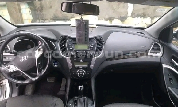 Buy Used Hyundai Chorus White Truck in Douala in Littoral Cameroon Buy Used Hyundai Chorus White Truck in Douala in Littoral Cameroon