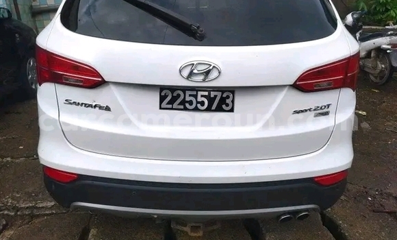 Buy Used Hyundai Chorus White Truck in Douala in Littoral Cameroon Buy Used Hyundai Chorus White Truck in Douala in Littoral Cameroon