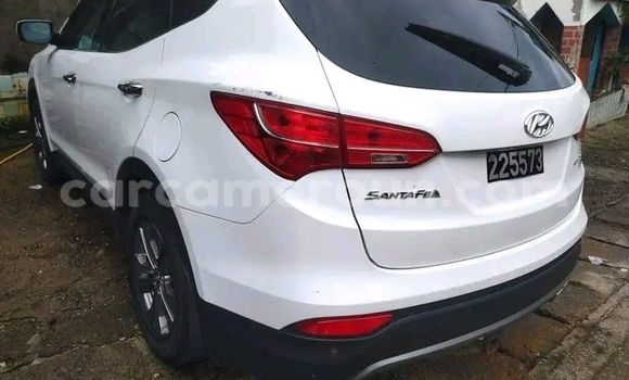 Buy Used Hyundai Chorus White Truck in Douala in Littoral Cameroon Buy Used Hyundai Chorus White Truck in Douala in Littoral Cameroon