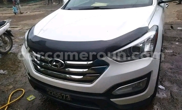 Buy Used Hyundai Chorus White Truck in Douala in Littoral Cameroon Buy Used Hyundai Chorus White Truck in Douala in Littoral Cameroon