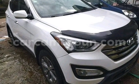Buy Used Hyundai Chorus White Truck in Douala in Littoral Cameroon Buy Used Hyundai Chorus White Truck in Douala in Littoral Cameroon