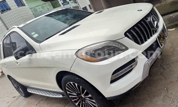 Buy Used Mercedes‒Benz M–Class White Car in Buea in Southwest Cameroon
