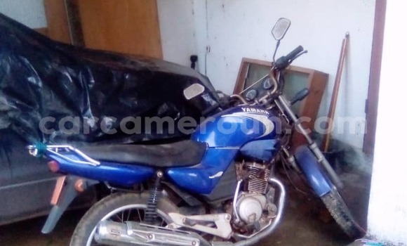 Sayi Na hannu Yamaha YBR-125 Azurfa Motsi in Douala a Ƙasar Kamaru Sayi Na hannu Yamaha YBR-125 Azurfa Motsi in Douala a Ƙasar Kamaru