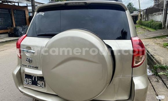 Buy Used Toyota RAV4 Other Car in Yaounde in Central Cameroon Buy Used Toyota RAV4 Other Car in Yaounde in Central Cameroon