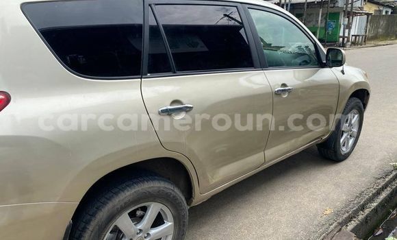Buy Used Toyota RAV4 Other Car in Yaounde in Central Cameroon Buy Used Toyota RAV4 Other Car in Yaounde in Central Cameroon