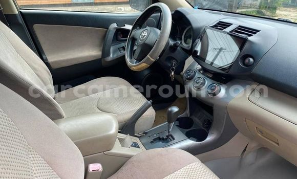 Buy Used Toyota RAV4 Other Car in Yaounde in Central Cameroon Buy Used Toyota RAV4 Other Car in Yaounde in Central Cameroon