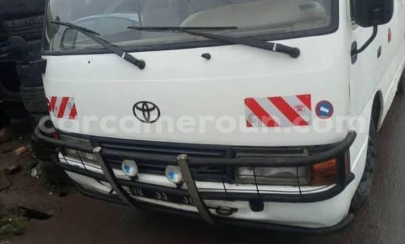 Buy Used Toyota Coaster White Car in Yaounde in Central Cameroon