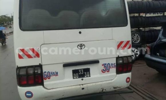 Buy Used Toyota Coaster White Car in Yaounde in Central Cameroon Buy Used Toyota Coaster White Car in Yaounde in Central Cameroon