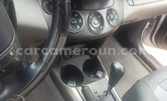 Buy Used Toyota RAV4 Other Car in Yaounde in Central Cameroon Buy Used Toyota RAV4 Other Car in Yaounde in Central Cameroon