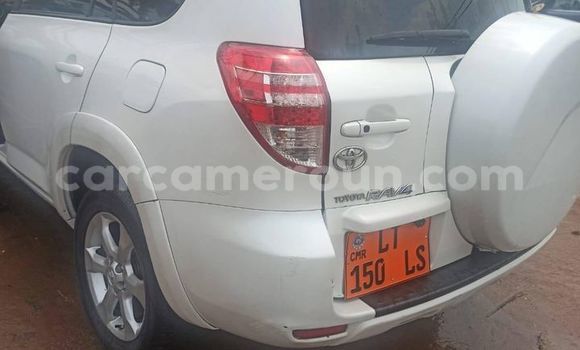 Buy Used Toyota RAV4 Other Car in Yaounde in Central Cameroon Buy Used Toyota RAV4 Other Car in Yaounde in Central Cameroon
