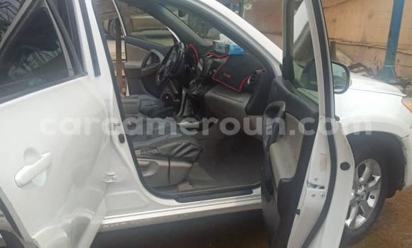 Buy Used Toyota RAV4 Other Car in Yaounde in Central Cameroon Buy Used Toyota RAV4 Other Car in Yaounde in Central Cameroon
