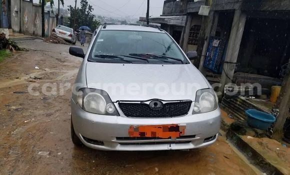 Buy Used Toyota Altezza Other Car in Yaounde in Central Cameroon Buy Used Toyota Altezza Other Car in Yaounde in Central Cameroon