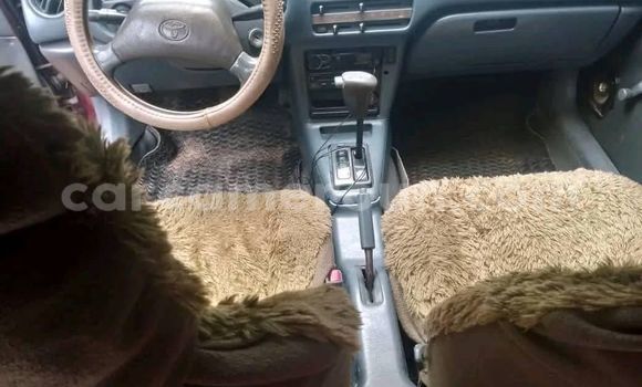 Buy Used Toyota Tercel Other Car in Yaounde in Central Cameroon Buy Used Toyota Tercel Other Car in Yaounde in Central Cameroon