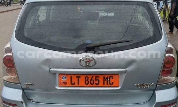 Buy Used Toyota Corolla Other Car in Yaounde in Central Cameroon Buy Used Toyota Corolla Other Car in Yaounde in Central Cameroon