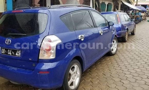 Buy Used Toyota Corolla Blue Car in Yaounde in Central Cameroon Buy Used Toyota Corolla Blue Car in Yaounde in Central Cameroon