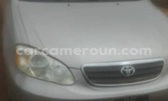Sayi Na hannu Toyota Corolla Sauran Mota in Yaounde a Babban Kamaru