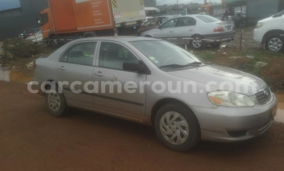 Acheter Occasion Voiture Toyota Corolla Autre à Yaoundé, Central Cameroon Acheter Occasion Voiture Toyota Corolla Autre à Yaoundé, Central Cameroon