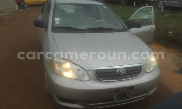 Acheter Occasion Voiture Toyota Corolla Autre à Yaoundé, Central Cameroon Acheter Occasion Voiture Toyota Corolla Autre à Yaoundé, Central Cameroon
