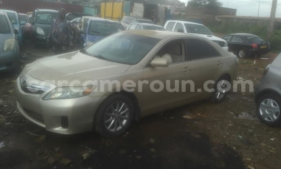 Acheter Occasion Voiture Toyota Camry Autre à Yaoundé, Central Cameroon Acheter Occasion Voiture Toyota Camry Autre à Yaoundé, Central Cameroon