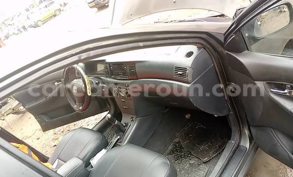 Buy Used Toyota Yaris Silver Car in Yaounde in Central Cameroon Buy Used Toyota Yaris Silver Car in Yaounde in Central Cameroon