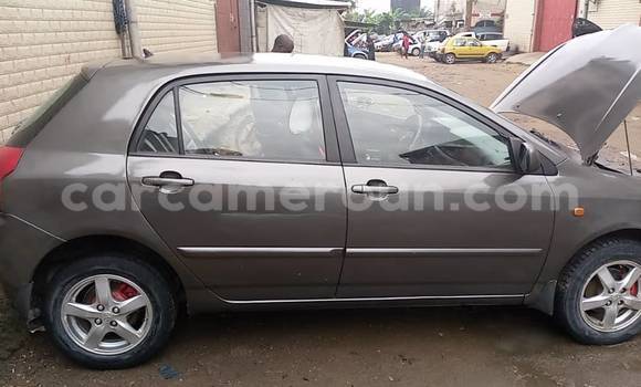 Buy Used Toyota Yaris Silver Car in Yaounde in Central Cameroon Buy Used Toyota Yaris Silver Car in Yaounde in Central Cameroon