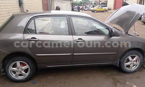 Buy Used Toyota Yaris Silver Car in Yaounde in Central Cameroon Buy Used Toyota Yaris Silver Car in Yaounde in Central Cameroon
