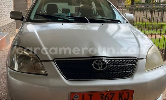 Buy Used Toyota Corolla Other Car in Yaounde in Central Cameroon