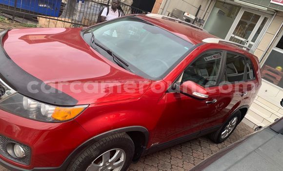 Buy Used Kia Sorento Red Car in Douala in Littoral Cameroon