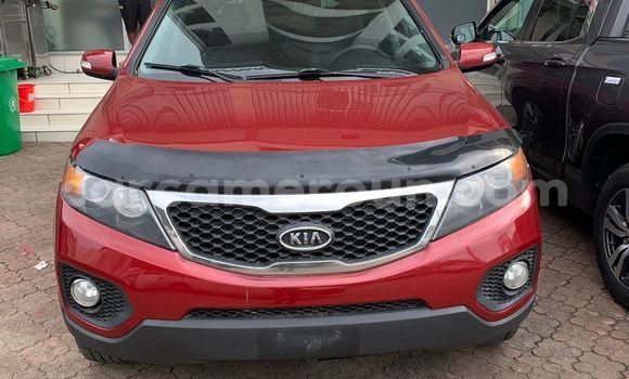 Buy Used Kia Sorento Red Car in Douala in Littoral Cameroon Buy Used Kia Sorento Red Car in Douala in Littoral Cameroon
