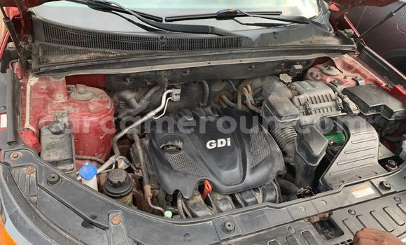 Buy Used Kia Sorento Red Car in Douala in Littoral Cameroon Buy Used Kia Sorento Red Car in Douala in Littoral Cameroon