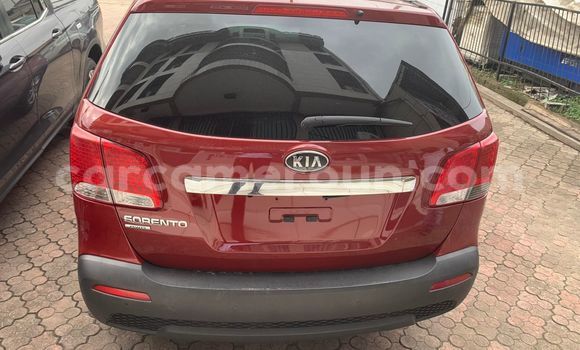 Buy Used Kia Sorento Red Car in Douala in Littoral Cameroon Buy Used Kia Sorento Red Car in Douala in Littoral Cameroon
