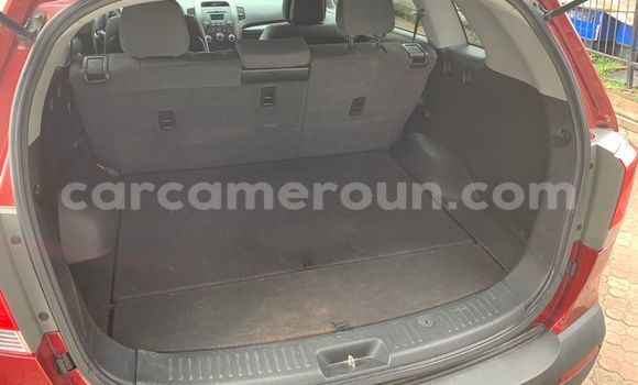 Buy Used Kia Sorento Red Car in Douala in Littoral Cameroon Buy Used Kia Sorento Red Car in Douala in Littoral Cameroon