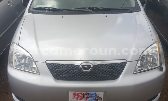 Acheter Occasion Voiture Toyota Runx Gris à Yaoundé, Central Cameroon