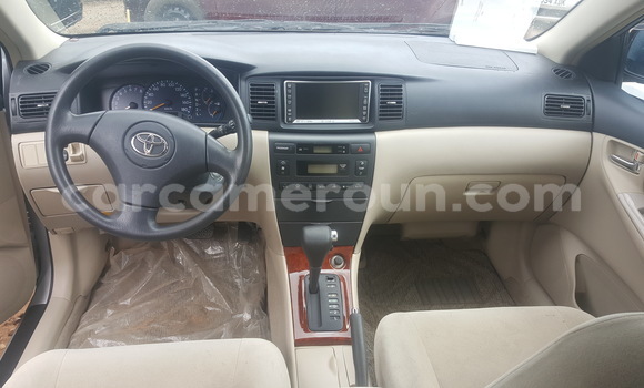 Acheter Occasion Voiture Toyota Runx Gris à Yaoundé, Central Cameroon Acheter Occasion Voiture Toyota Runx Gris à Yaoundé, Central Cameroon