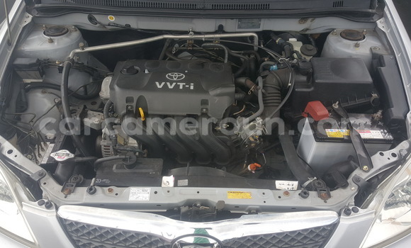 Acheter Occasion Voiture Toyota Runx Gris à Yaoundé, Central Cameroon Acheter Occasion Voiture Toyota Runx Gris à Yaoundé, Central Cameroon