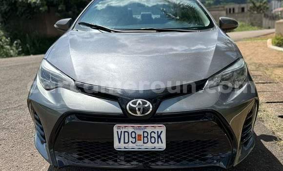 Acheter Occasion Voiture Toyota Corolla Gris à Yaoundé, Central Cameroon