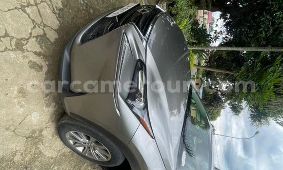 Buy Used Lexus NX Silver Car in Yaounde in Central Cameroon