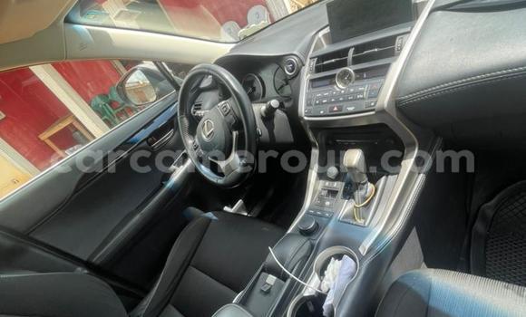 Sayi Na hannu Lexus NX Azurfa Mota in Yaounde a Babban Kamaru Sayi Na hannu Lexus NX Azurfa Mota in Yaounde a Babban Kamaru