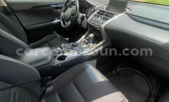 Sayi Na hannu Lexus NX Azurfa Mota in Yaounde a Babban Kamaru Sayi Na hannu Lexus NX Azurfa Mota in Yaounde a Babban Kamaru