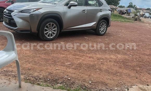 Sayi Na hannu Lexus NX Azurfa Mota in Yaounde a Babban Kamaru Sayi Na hannu Lexus NX Azurfa Mota in Yaounde a Babban Kamaru