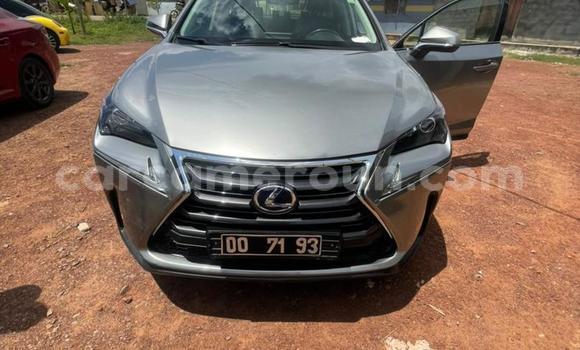 Sayi Na hannu Lexus NX Azurfa Mota in Yaounde a Babban Kamaru Sayi Na hannu Lexus NX Azurfa Mota in Yaounde a Babban Kamaru
