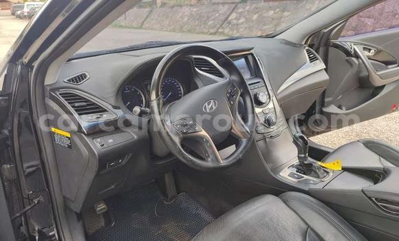 Sayi Na hannu Hyundai Grandeur Black Mota in Yaounde a Babban Kamaru Sayi Na hannu Hyundai Grandeur Black Mota in Yaounde a Babban Kamaru