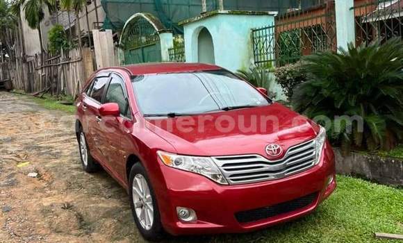 Sayi Na hannu Toyota Venza Red Mota in Yaounde a Babban Kamaru Sayi Na hannu Toyota Venza Red Mota in Yaounde a Babban Kamaru
