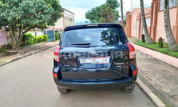 Buy Used Toyota RAV4 Black Car in Yaounde in Central Cameroon Buy Used Toyota RAV4 Black Car in Yaounde in Central Cameroon