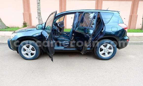 Buy Used Toyota RAV4 Black Car in Yaounde in Central Cameroon Buy Used Toyota RAV4 Black Car in Yaounde in Central Cameroon