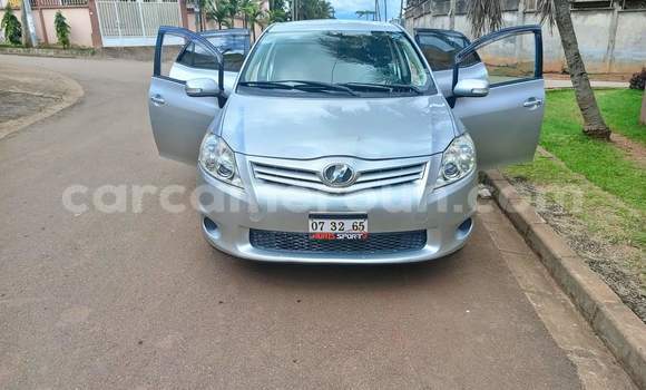 Buy Used Toyota Auris Silver Car in Yaounde in Central Cameroon Buy Used Toyota Auris Silver Car in Yaounde in Central Cameroon